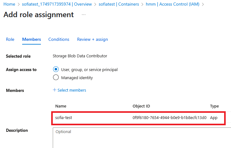 Assign "Storage Blob Data Contributor" to `sofia-test`.